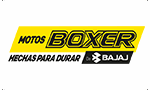 boxer