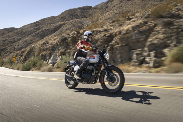 BEAR 650 - Imagen 2