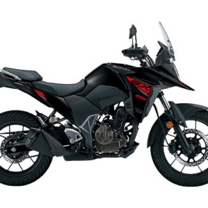 Vstrom250 SX - DS250R