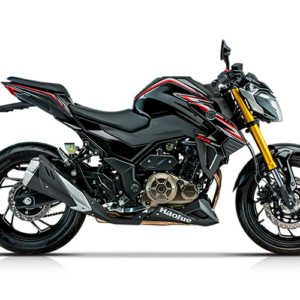 DR300