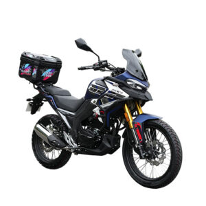 DOMINATOR 250ADV1