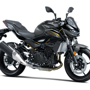Z500 ABS